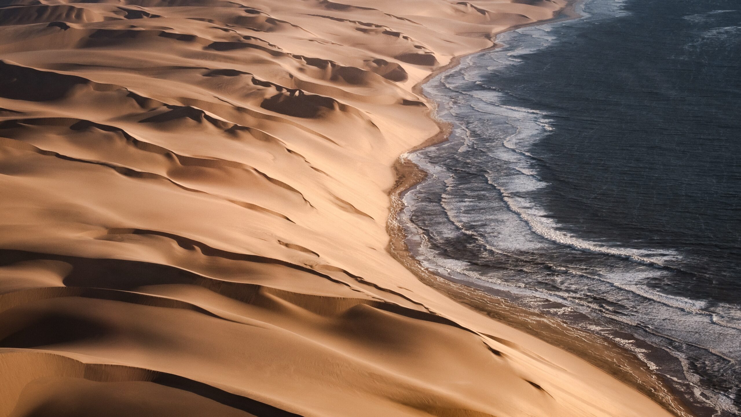 Namib Sand Sea, Namibia